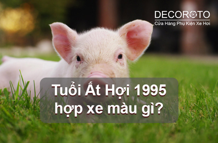 Chọn xe cho tuổi Ất Hợi