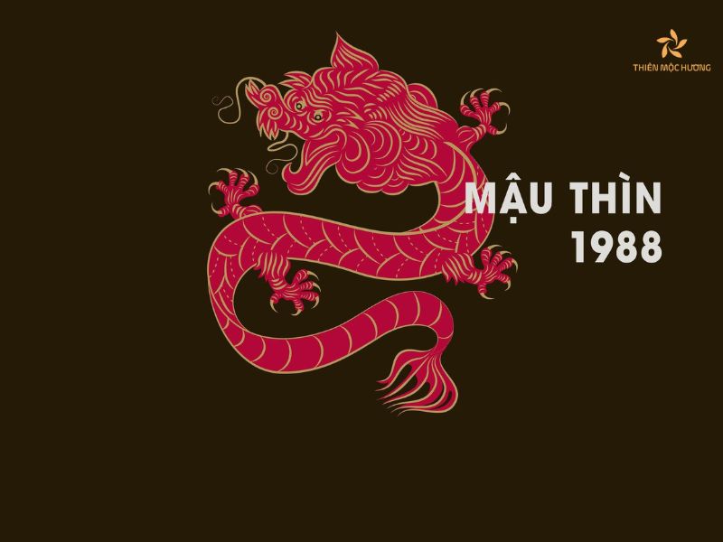 Kết hợp màu sắc cho logo tuổi Mậu Thìn