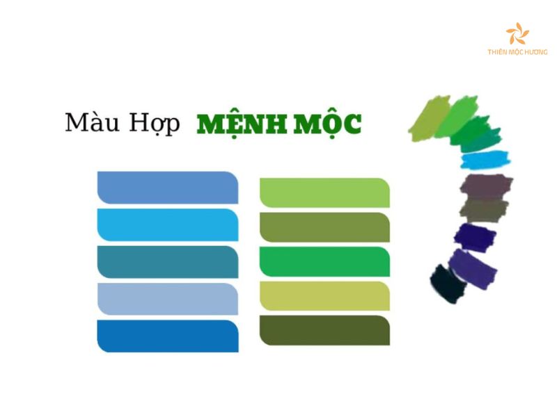 Màu sắc hợp tuổi Mậu Thìn 1988