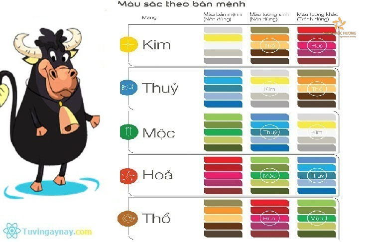 Phối màu hợp mệnh Thủy 1997