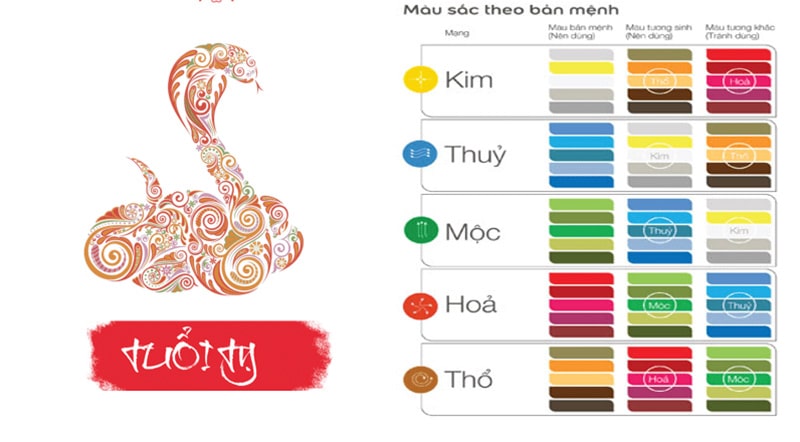 Tuổi Kỷ Tỵ 1989 hợp màu xe gì 2025