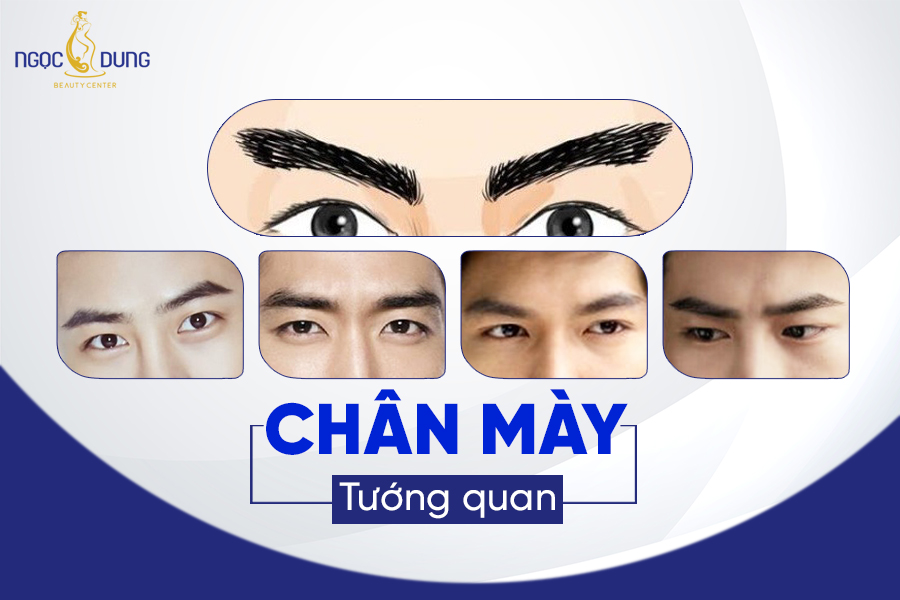 Tướng lông mày người làm lãnh đạo