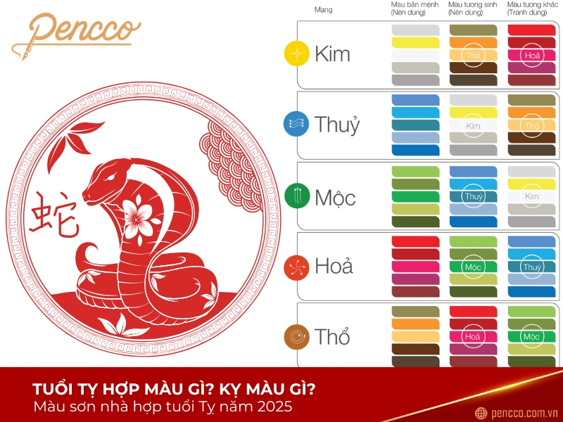Tuổi Kỷ Tỵ hợp màu gì 2025