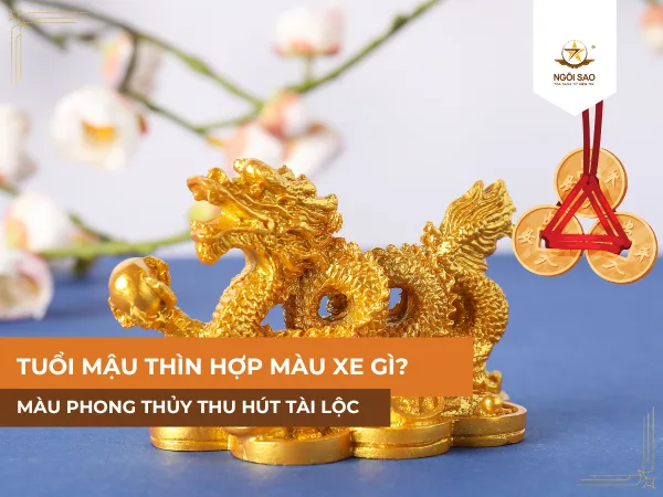 Xe màu xanh lá hợp Mậu Thìn