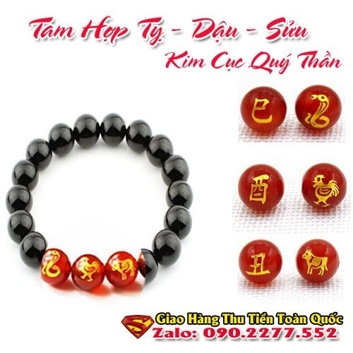 Vòng tam hợp Tý – Dậu – Sửu đá đen