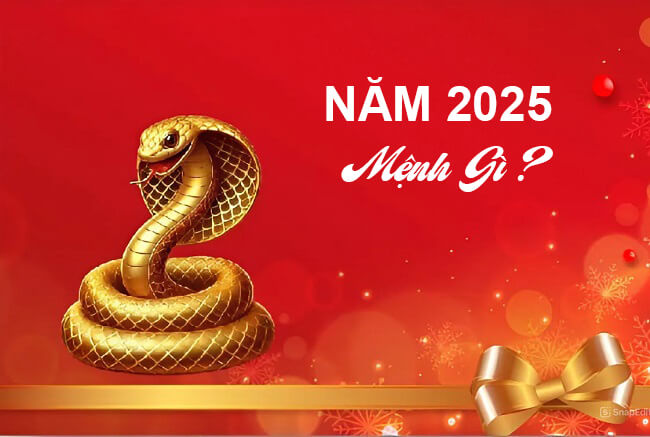 Năm 2025 mệnh Hỏa