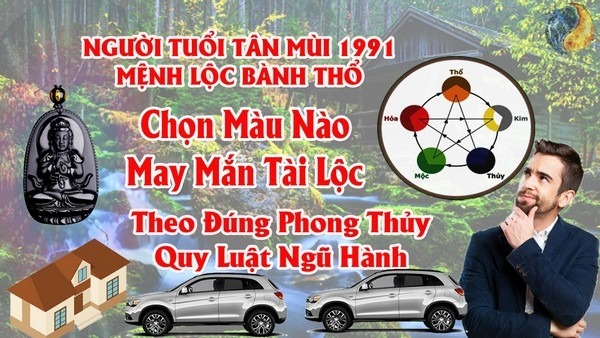 Tuổi Tân Mùi tránh màu xe gì