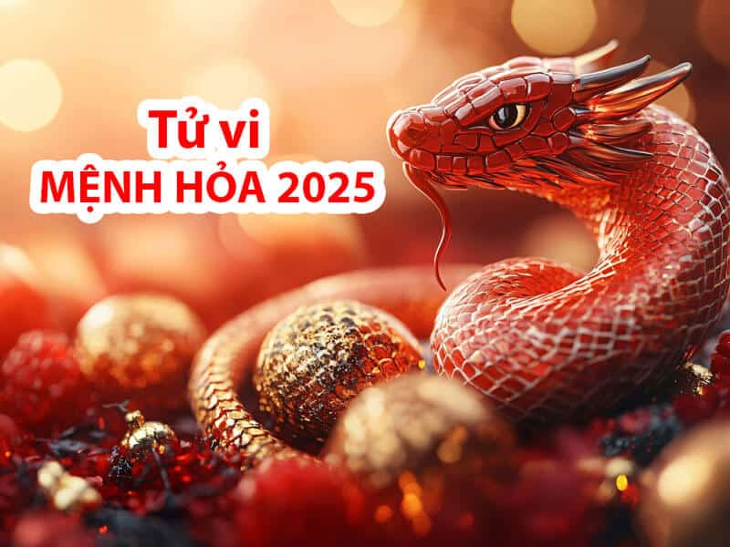 Tử vi người mệnh Hỏa năm 2025