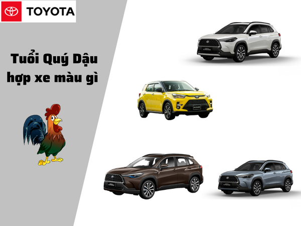 Xe máy màu trắng bạc hợp tuổi 1993