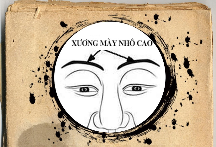 Người tuổi Tý và sự nghiệp