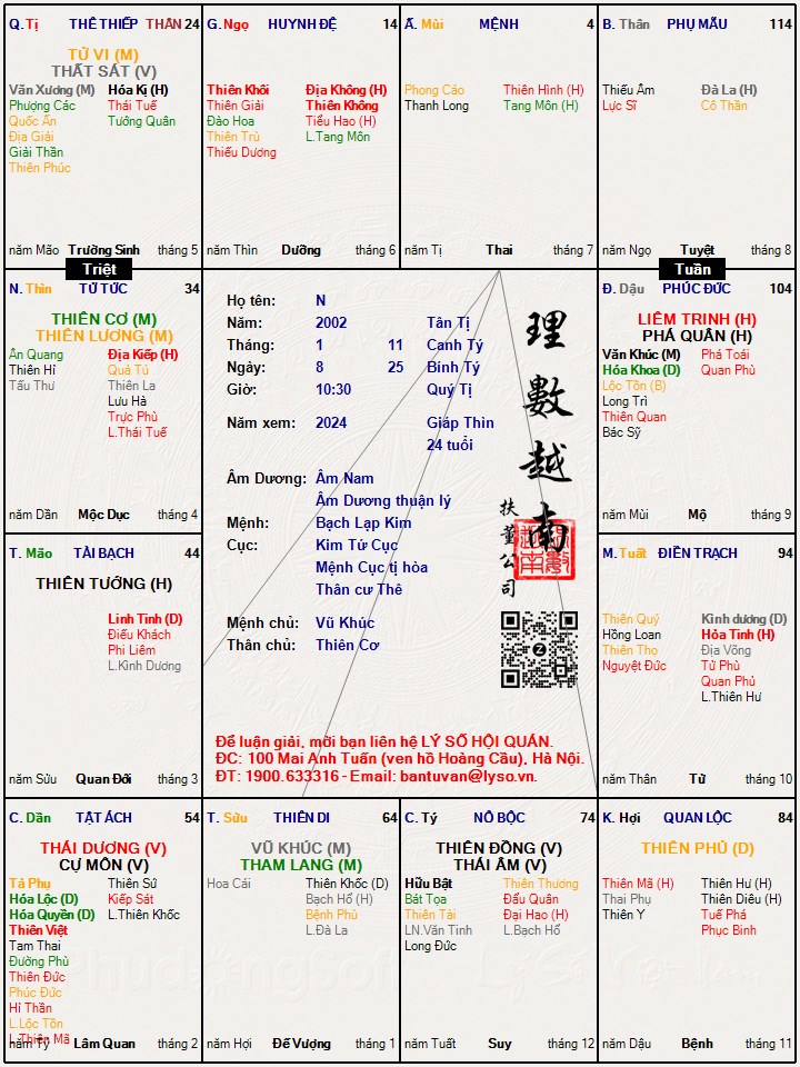 Lá số tử vi nghệ thuật