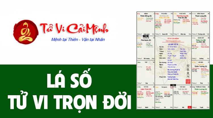 Tuổi Nhâm Thìn