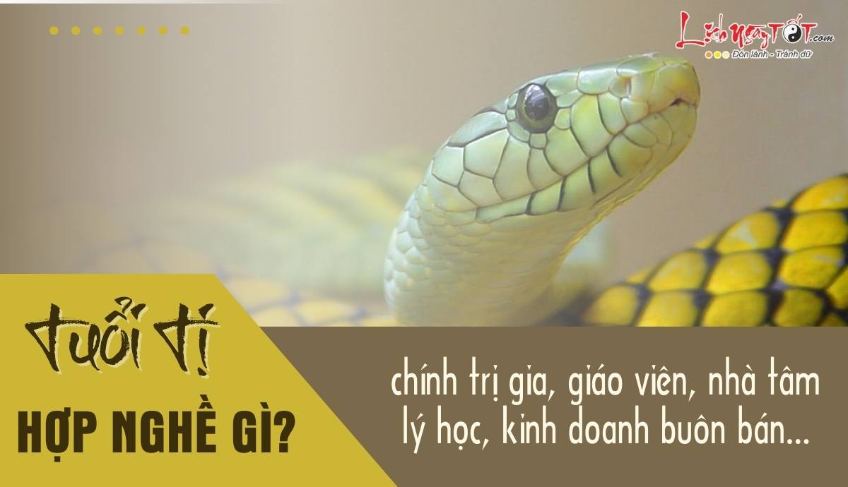 Nghề nghiệp hợp tuổi Tý