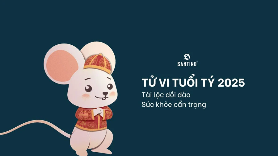 Phong thủy tuổi Tý 2025