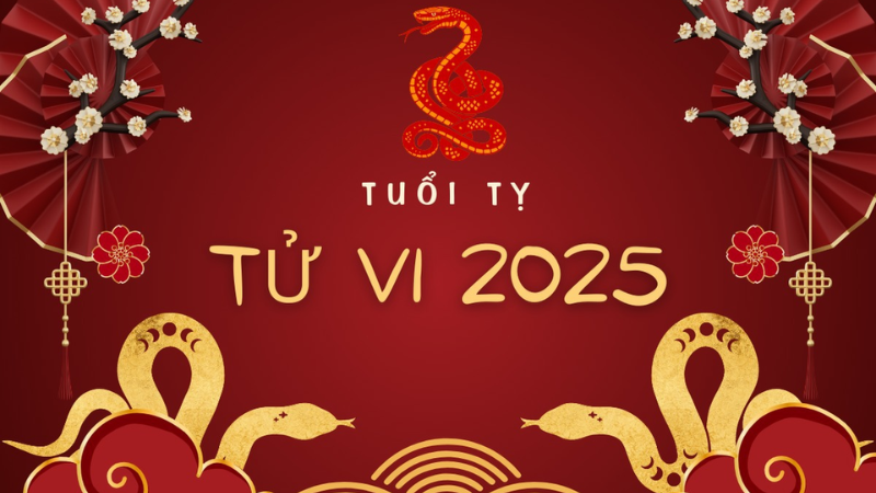 Tử vi nữ mạng tuổi Kỷ Tỵ năm 2025