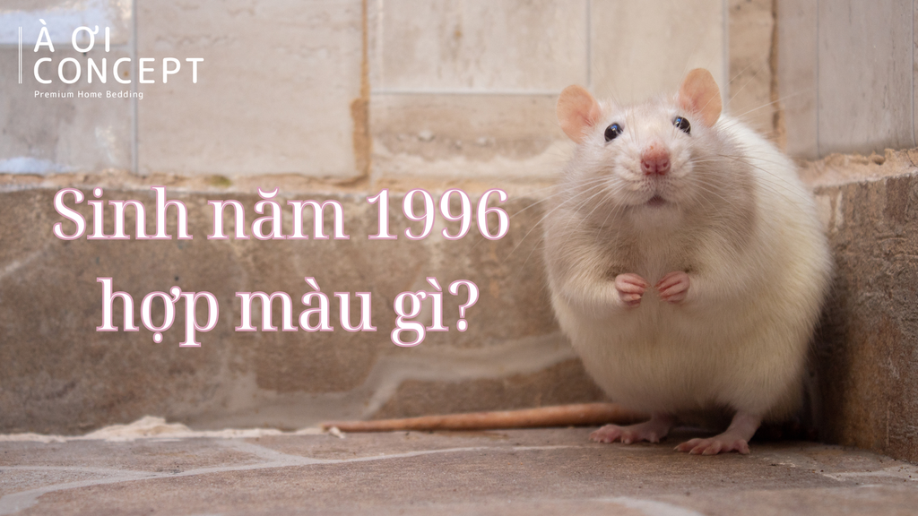 Màu sắc phù hợp với tuổi Bính Tý