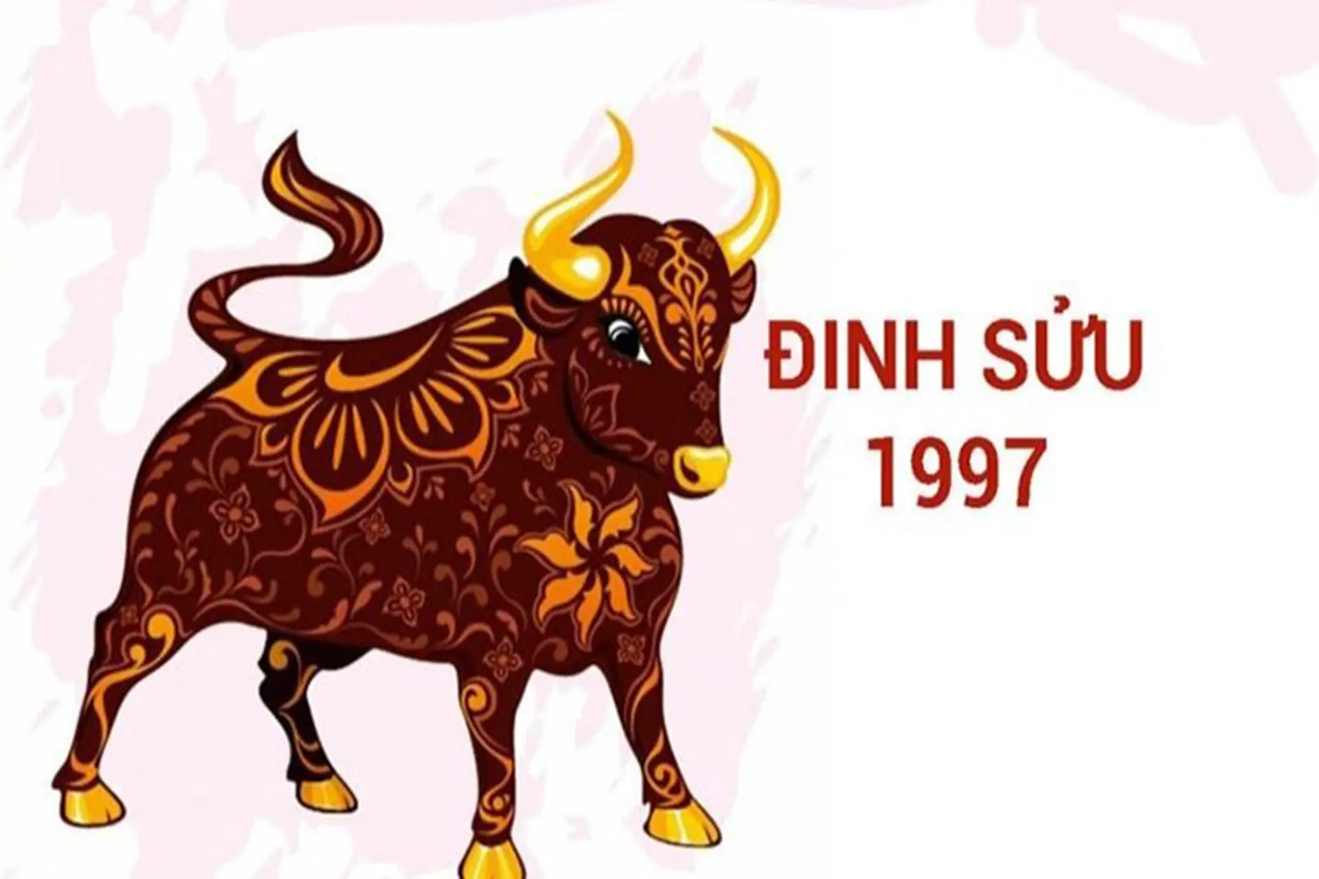 Màu đen hợp với tuổi Đinh Sửu