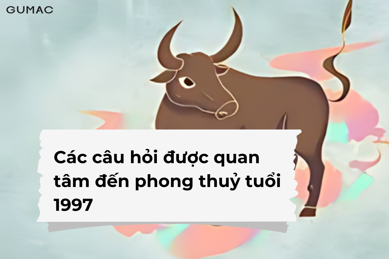 Các câu hỏi phong thủy tuổi Đinh Sửu