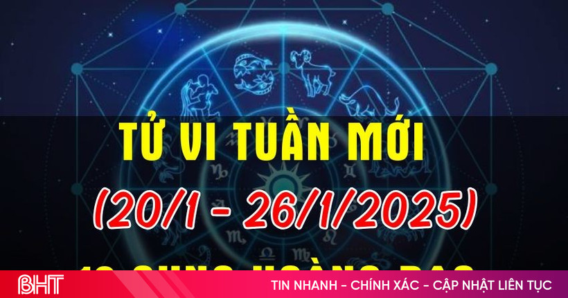 Dự báo tài chính Kim Ngưu