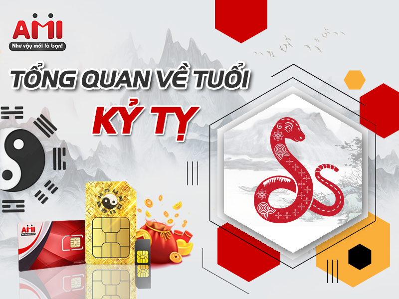 Màu sim hợp tuổi Kỷ Tỵ