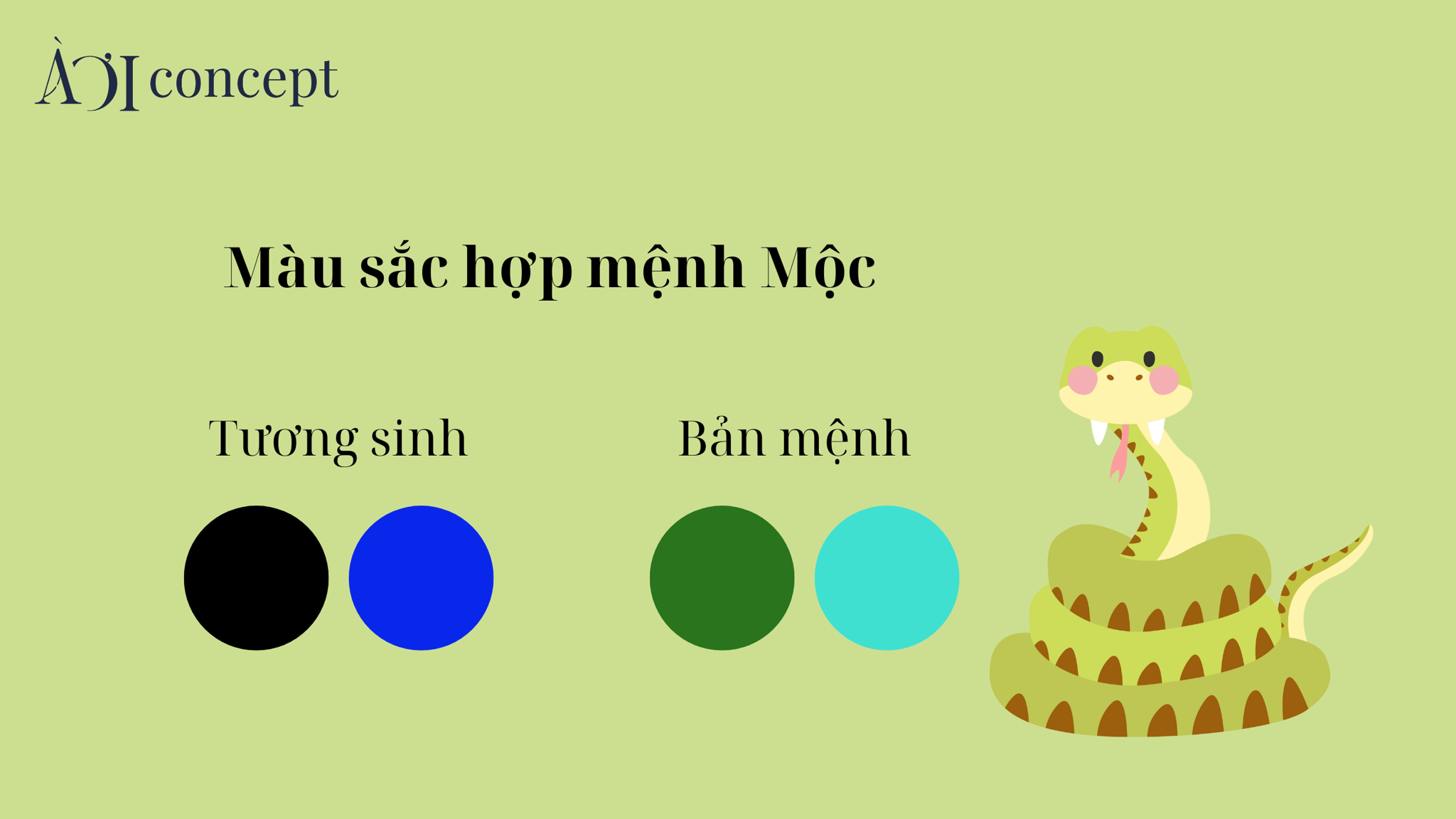 Xe màu hợp tuổi Kỷ Tỵ