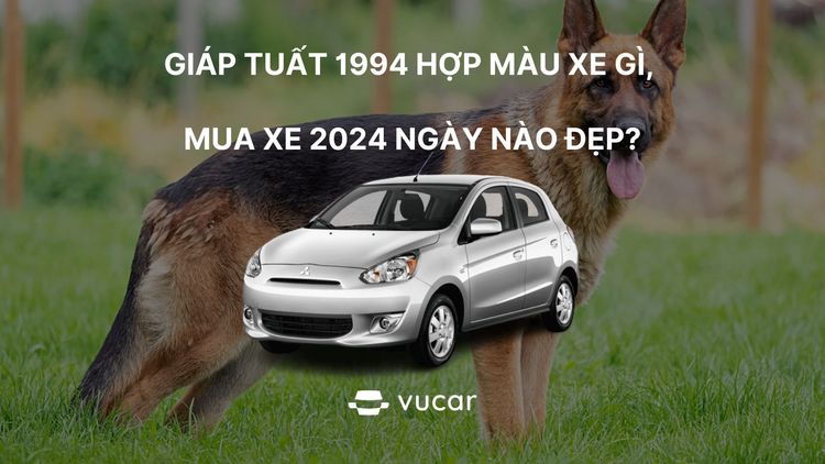 Chọn màu xe cho tuổi Giáp Tuất