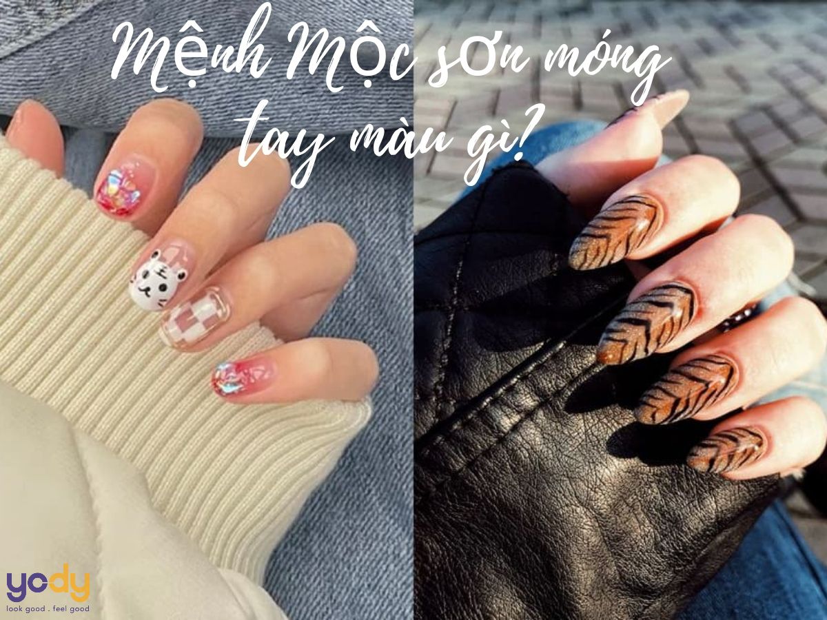 Màu sơn hợp với người mệnh Mộc
