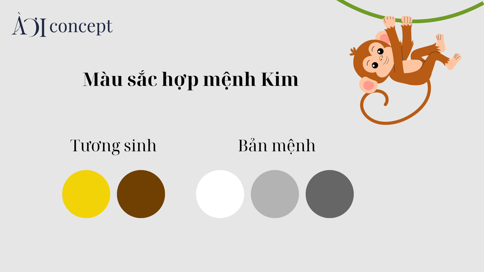 Bảng màu hợp tuổi Nhâm Thân