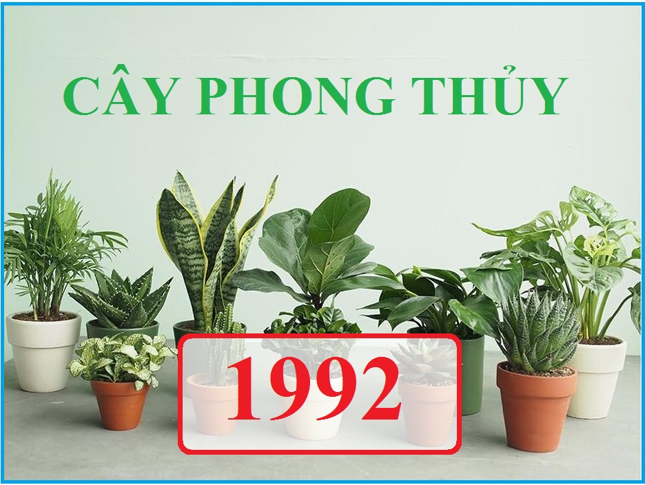 Tuổi 1992 hợp cây gì