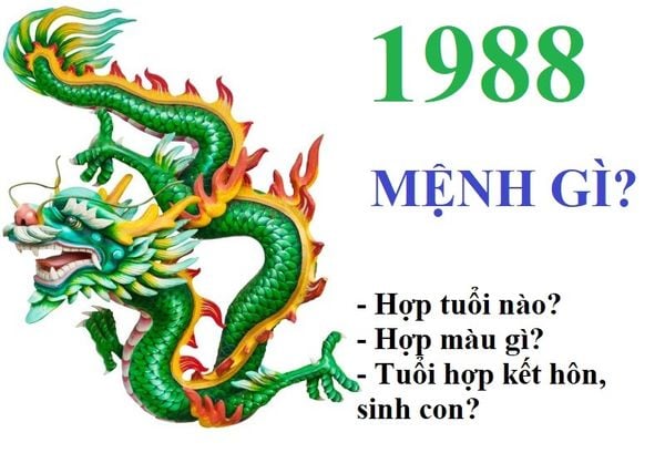Tuổi Mậu Thìn 1988 mệnh Mộc