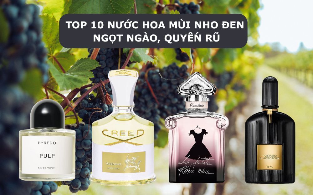 Nước hoa vỏ đen quyến rũ