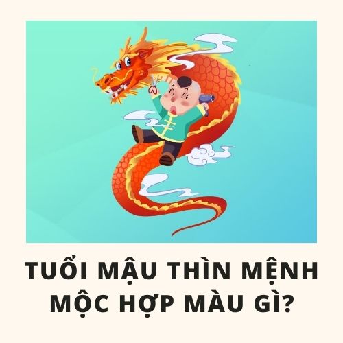 Màu sắc hợp tuổi Thìn