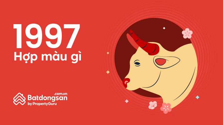 Màu xe hợp tuổi Đinh Sửu 1997